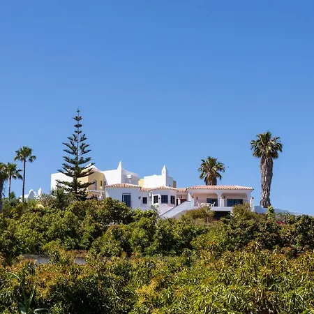 Artemisia Nerja