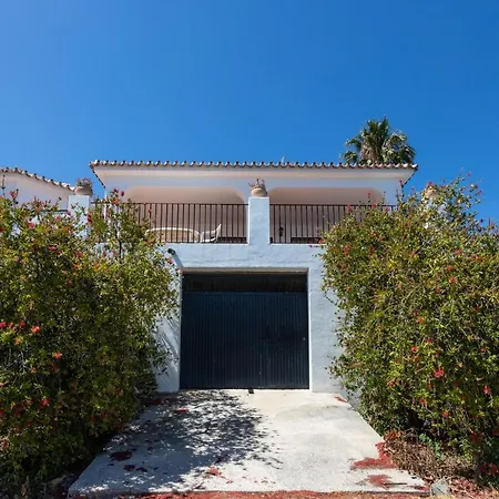 Artemisia * Nerja